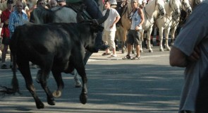 La fête votive, une simple tradition ?