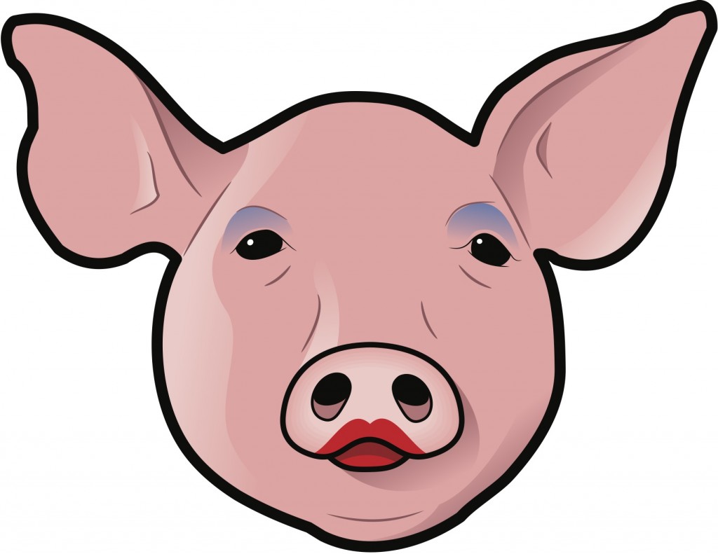 « It’s like putting lipstick on a pig » - <a href="http://www.shutterstock.com/pic-81701944/stock-vector-pig-s-head-with-lipstick-and-eye-shadow.html">Shutterstock</a>