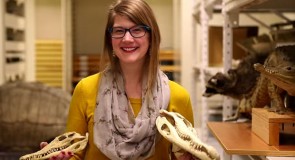 Museums, talk to your audiences with a Chief Curiosity Correspondent!