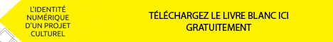 Livre blanc Identité numérique projet culturel