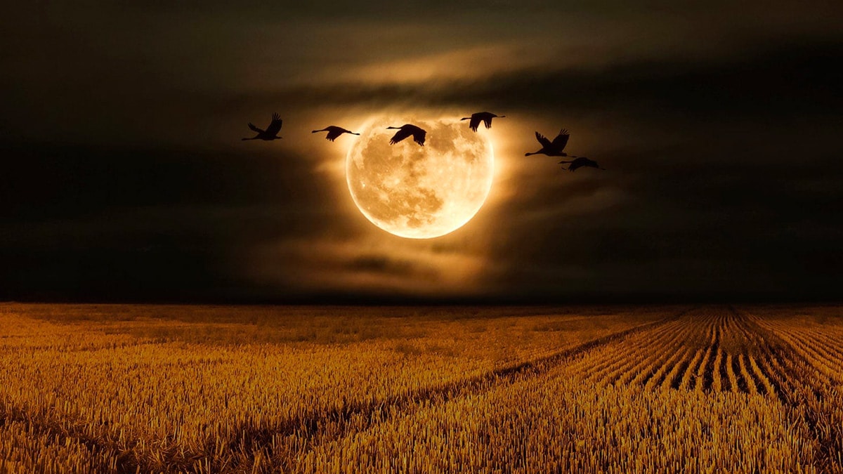 5 signes astrologiques ultra chanceux dès le 1er novembre avec la Lune du Chasseur