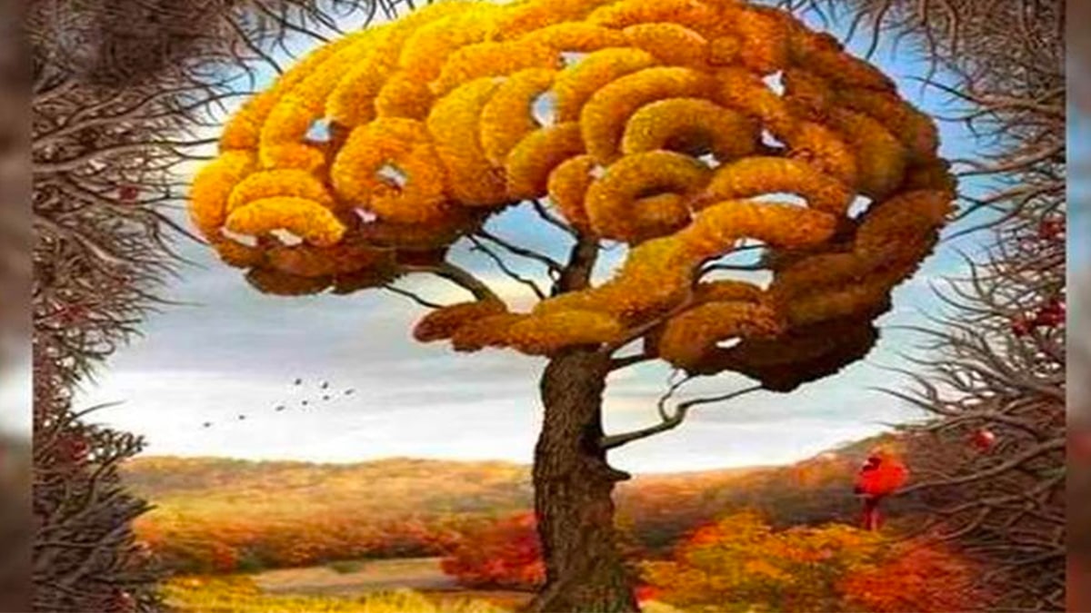 Choisissez un élément et testez votre niveau d’intelligence grâce à ce test visuel