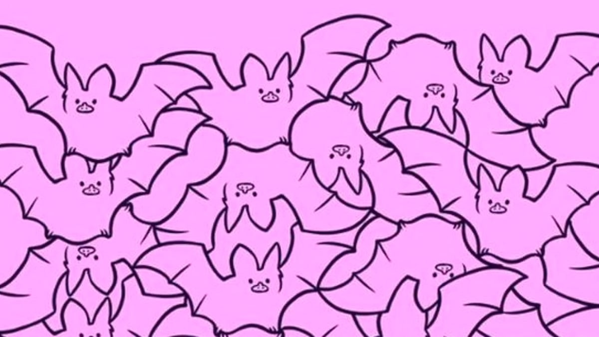 Combien de chauve-souris trouvez-vous dans ce défi visuel ? Seuls les esprits rapides trouvent