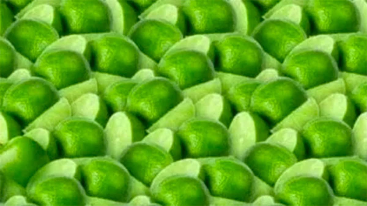 Seuls les génies avec une excellente vue trouvent la pomme cachée dans cette énigme visuelle