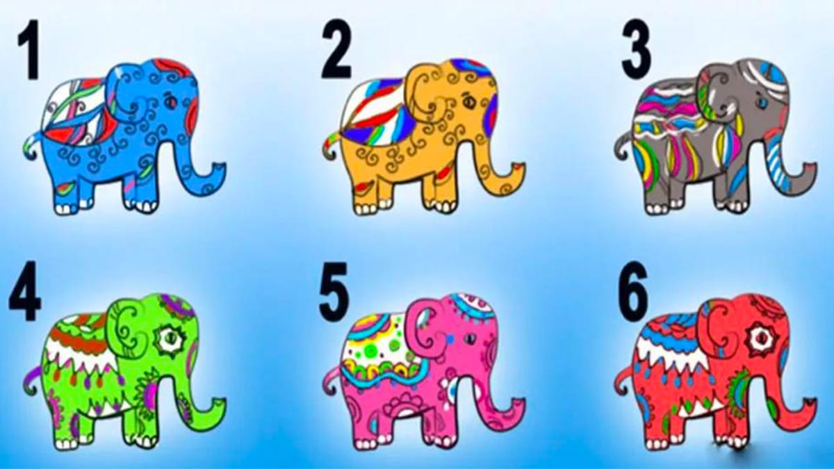 Test visuel : l’éléphant que vous choisissez dévoilera votre véritable nature