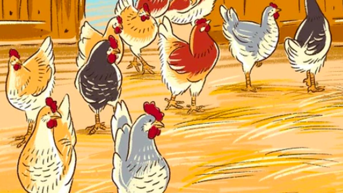 Seules les personnes observatrices trouvent les erreurs dans ce défi visuel, et vous ?