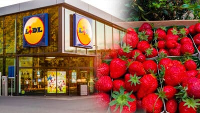 Elle ouvre sa barquette de fraises achetée chez Lidl et fait une découverte terrifiante